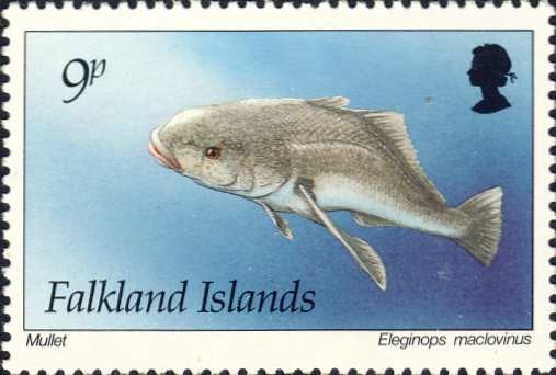 eleginops